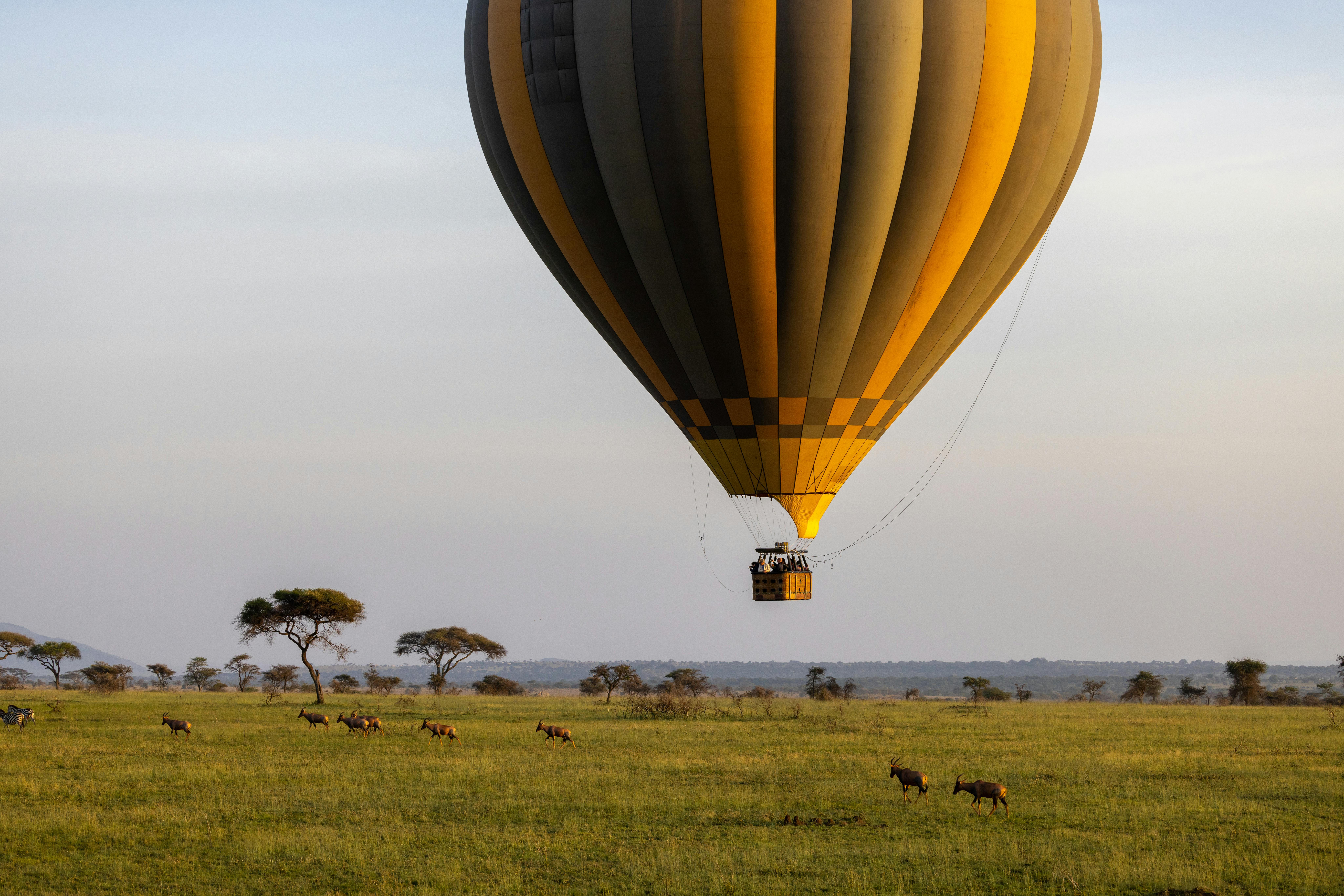 Maasai Mara
